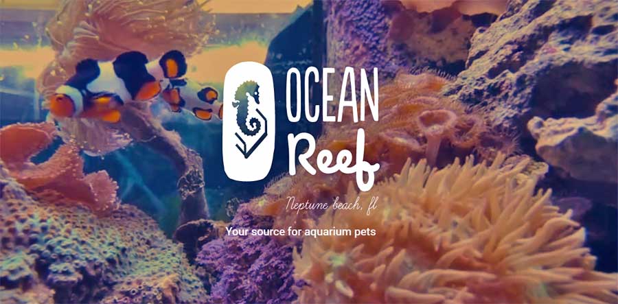 Ocean Reef Pets